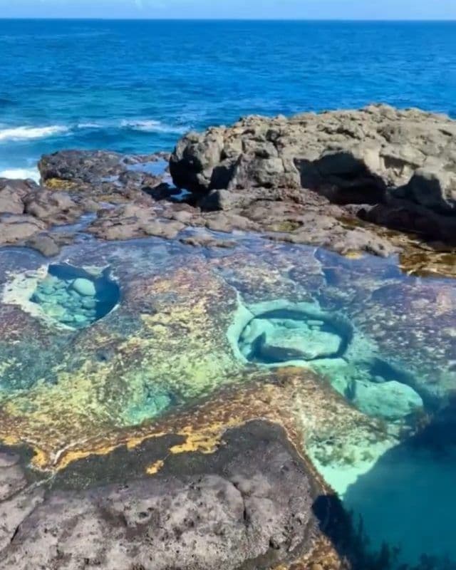 VTC pour observer les baleines à La Réunion : ports de départ et saison