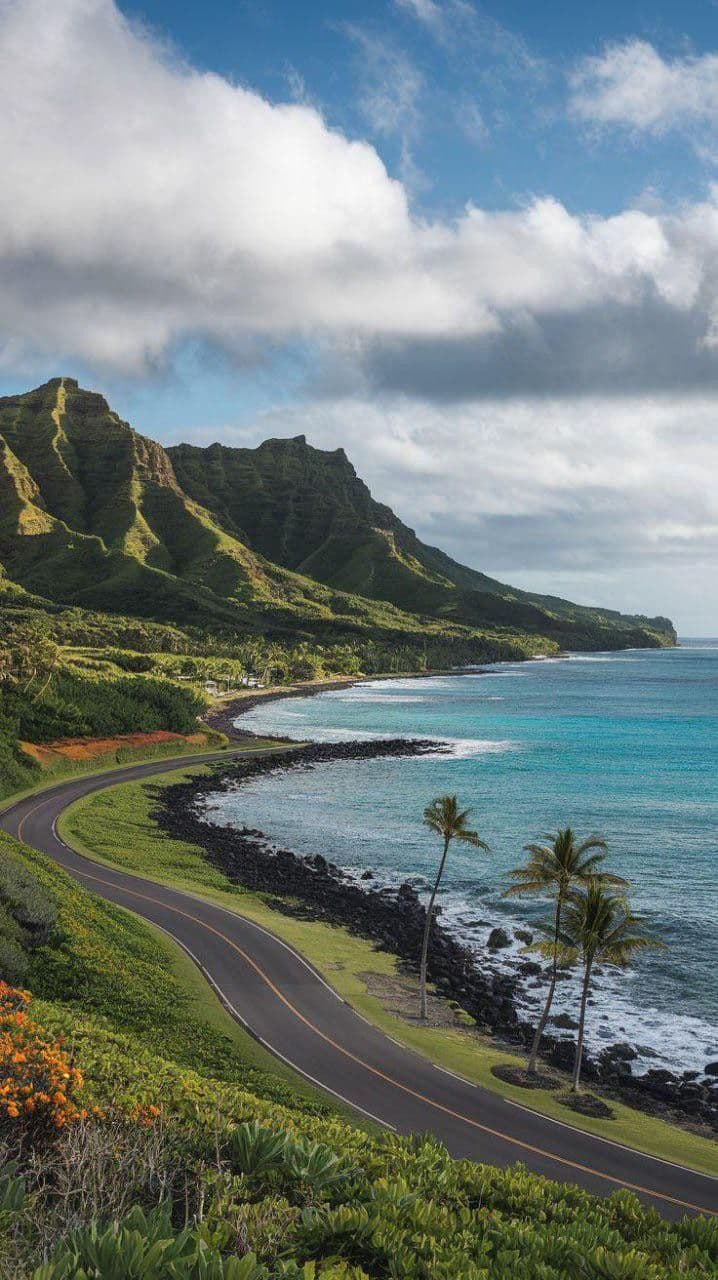 Pourquoi choisir un VTC professionnel à La Réunion pour vos déplacements d'affaires ?